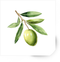 Thumbnail for Olive Branch Sticker | Watercolor Green Olive Botanical Vinyl Decal | Mediterranean Gift