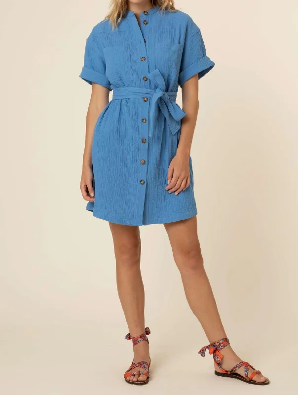 chic slip dressFanny Dress in Bleu